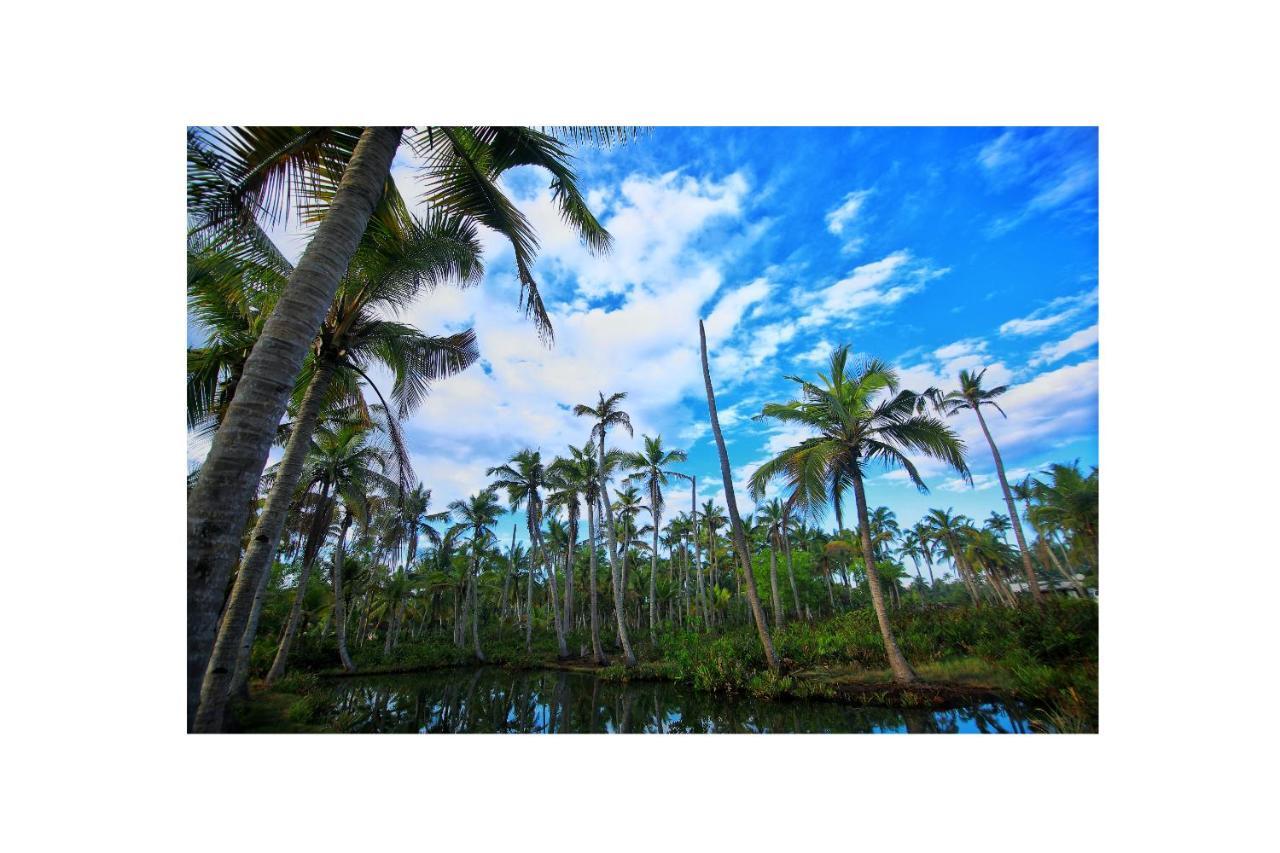 Munroe Paradise Apartment Munroe Island ภายนอก รูปภาพ